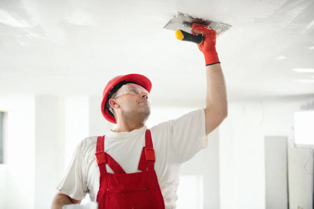 Best Painting for New Construction  in Westwood, NJ